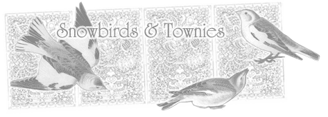 Snowbirds Forum
